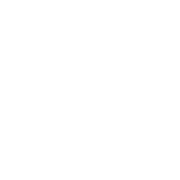 15+ Years of Expertise