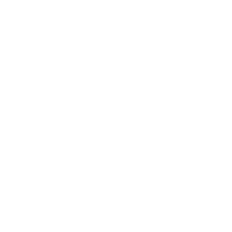 Optimized Media Strategy